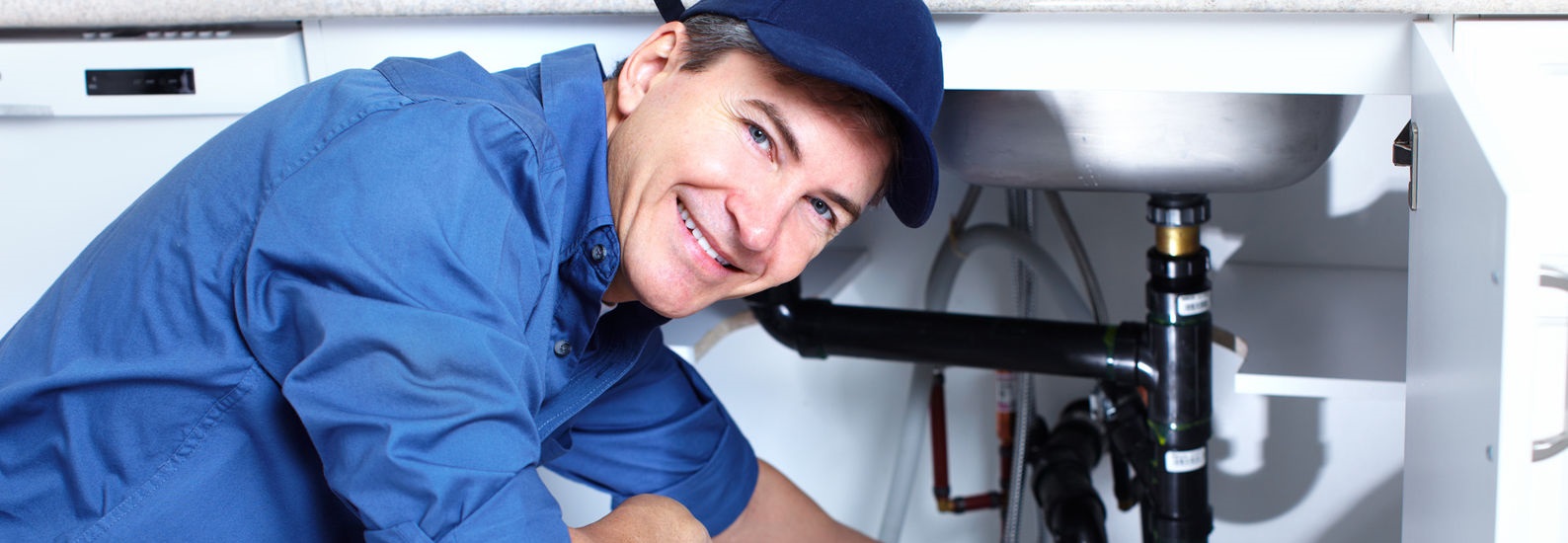 We checked them out. Halton agreed.